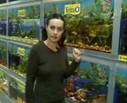 Технические приспособления для аквариумов